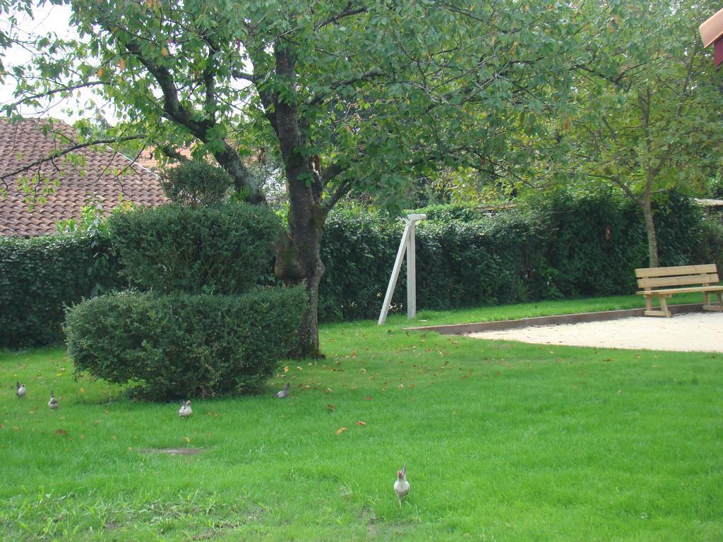 Les Gites Malidri Pontonx-sur-lʼAdour 外观 照片
